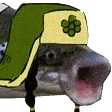 salmonrai