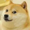 CoolDoge