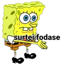 Surteifodase