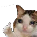 catlike Discord emoji