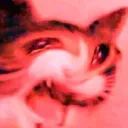 endless_pain_cat Discord Emoji