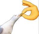 shut