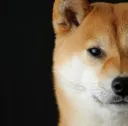 emoji_51 emoji_51