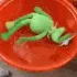 kermitDrown kermitDrown