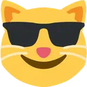 cat_sunglasses