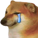 Cry_doge_head