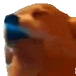 dogJAM