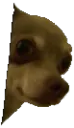 Papi_PEEK