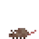 konna_nom2