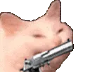catkill