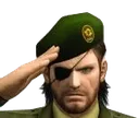 salute