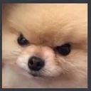 w_
