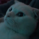 cat_j3fr3 Discord emoji