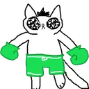 CCfight