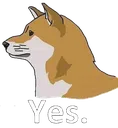 DogYes DogYes