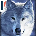 wolfy
