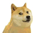 DOGE