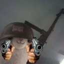 snoefGun