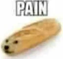 pain pain