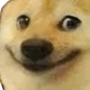 dogesmile