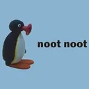 NootNoot