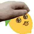 PETTHELEMON