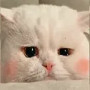 GW_SadBlush