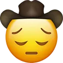 Cowboypensive