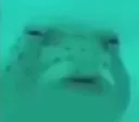 wuh wuh