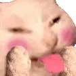 SCGtongue SCGtongue