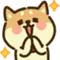 ShibaAmazed