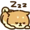 ShibaSleepingZzz