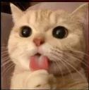 Lickme