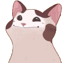 Bop Cat bopcat Discord Emoji