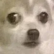 doggo