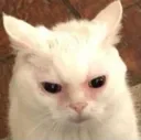 emoji_81