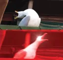 aaaAaaa