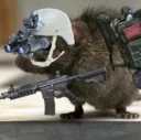 rat_raid
