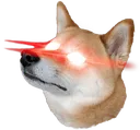taikowoke taikowoke