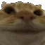 no