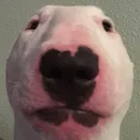 walter