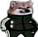 sweg4k