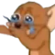 JerryCry