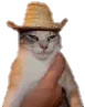 SCyeehaw SCyeehaw