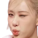 RoseWink
