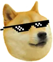 dogecool