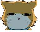 sus