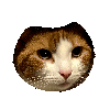 GingerNoNo Discord emoji