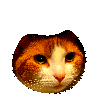 GingerParty Discord emoji
