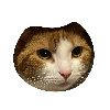 ginger3 Discord emoji